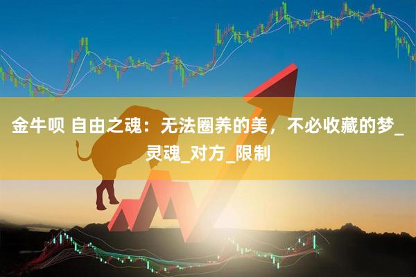 金牛呗 自由之魂：无法圈养的美，不必收藏的梦_灵魂_对方_限制