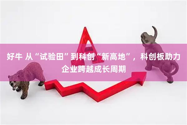 好牛 从“试验田”到科创“新高地”，科创板助力企业跨越成长周期