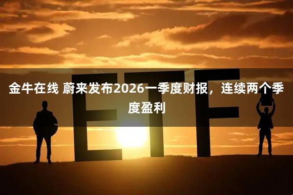 金牛在线 蔚来发布2026一季度财报，连续两个季度盈利