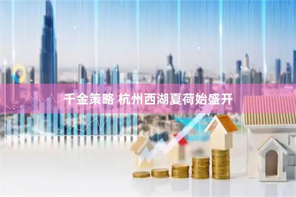 千金策略 杭州西湖夏荷始盛开